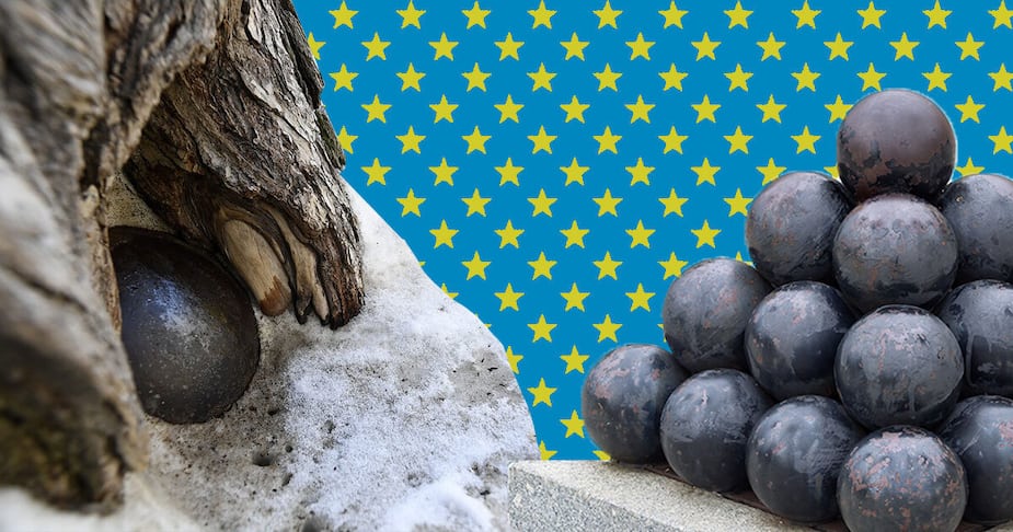 Image principale de l'article J’ai fait mes adieux à «l’orme au boulet»