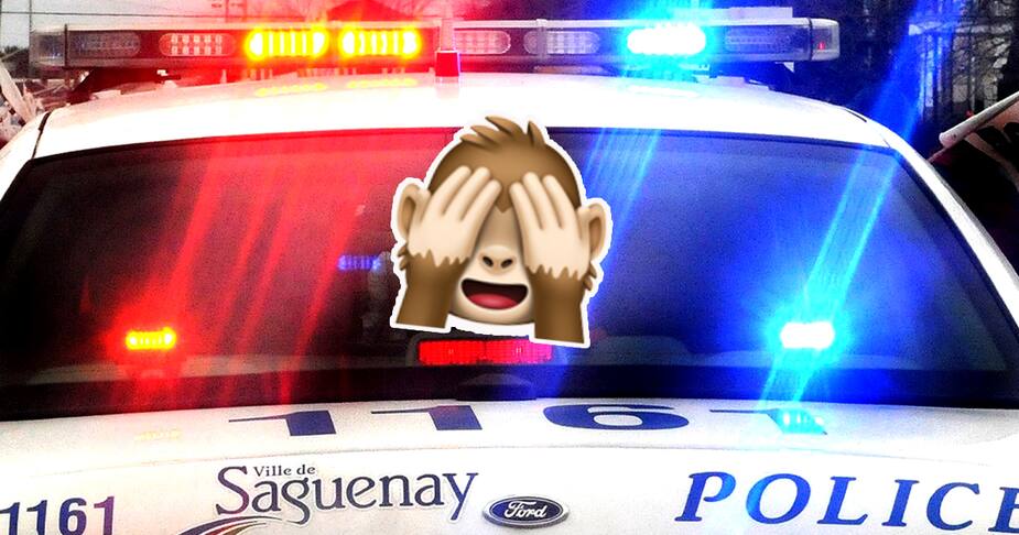 Image principale de l'article Elle montre ses parties génitales aux policiers