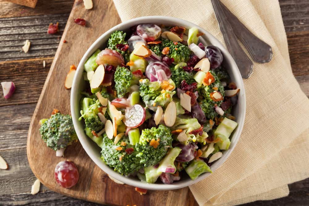 Nos 5 meilleures recettes pour des lunchs froids | Salut Bonjour