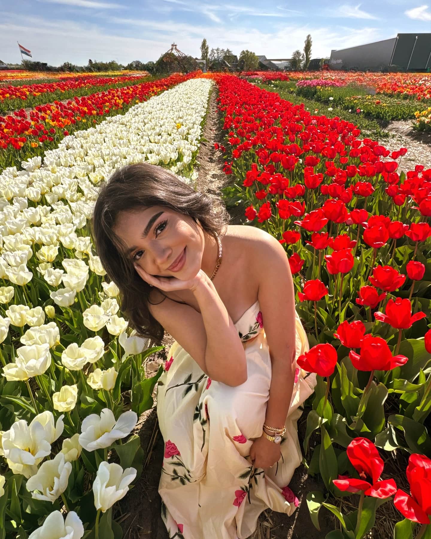 5 champs de tulipes à visiter au Québec