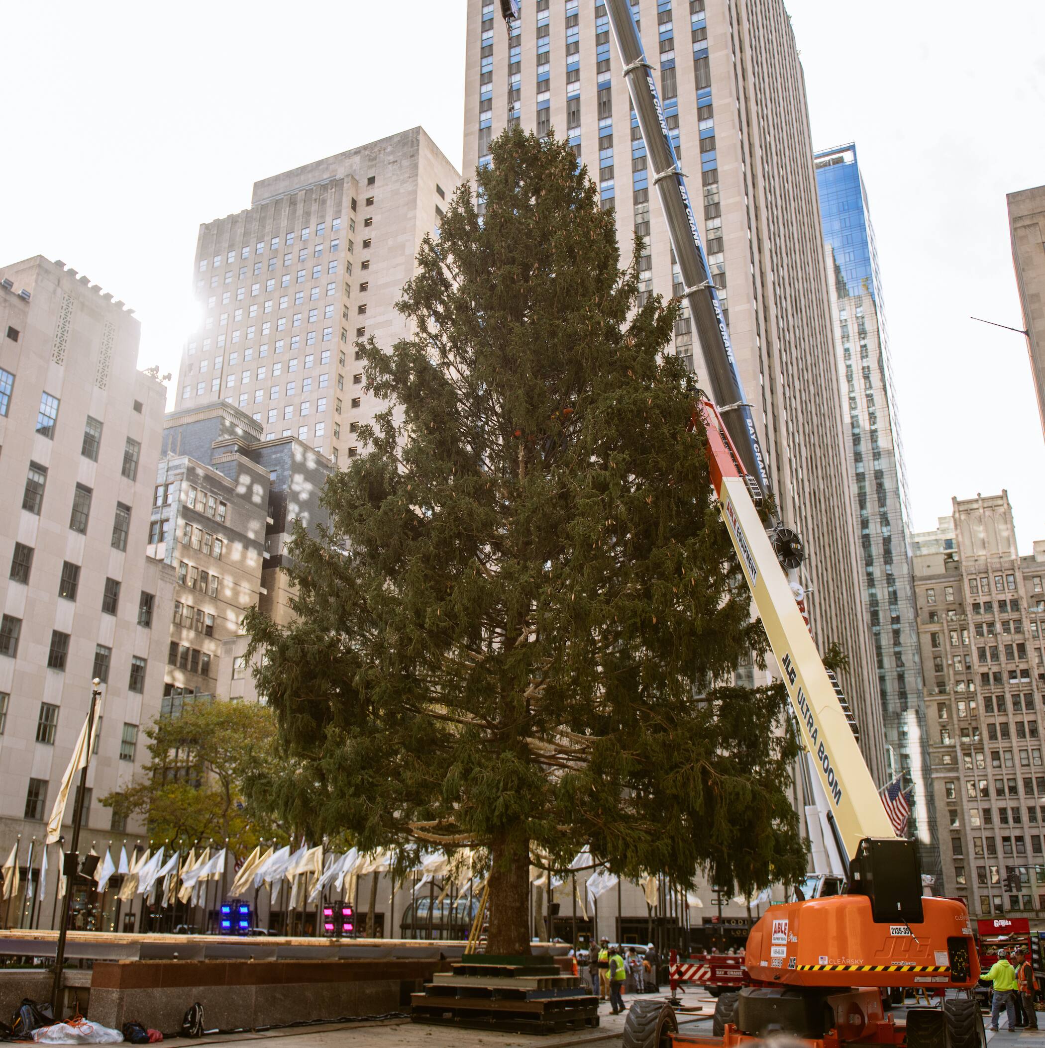EN IMAGES | Le sapin du Rockefeller Center est arriv&eacute; &agrave; New York