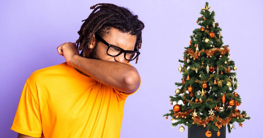 Image principale de l'article Votre sapin de Noël vous fait peut-être éternuer