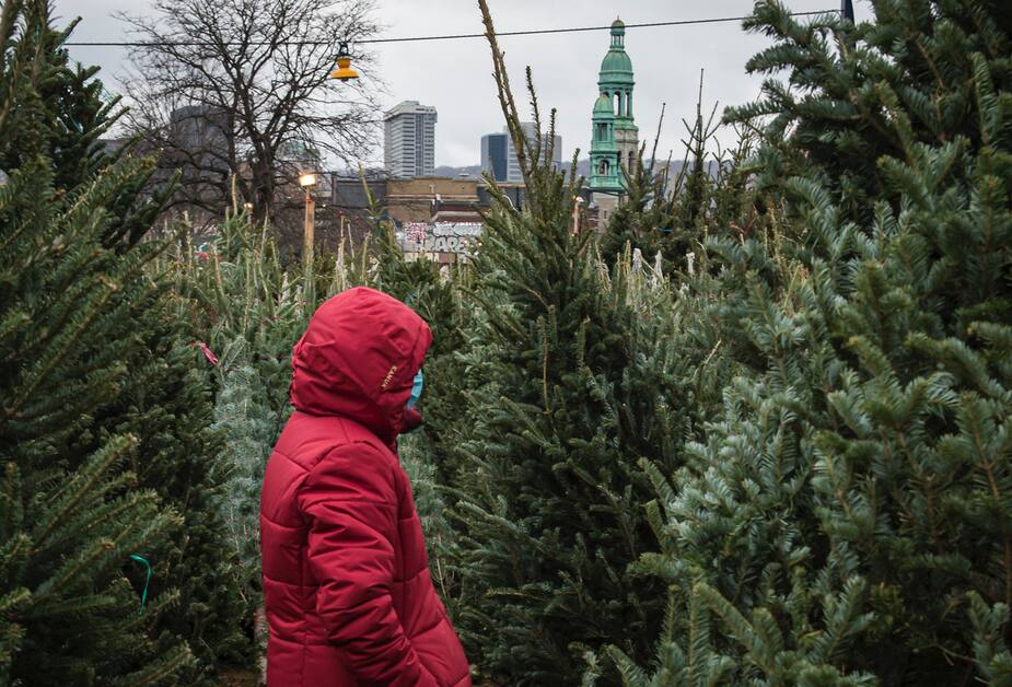 Image principale de l'article Les sapins de Noël coûteront plus cher