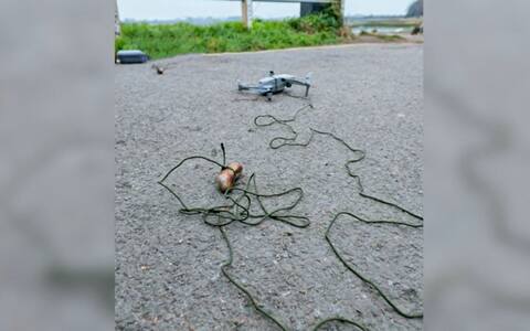 ON VIDEO | Flying sausages allow a dog to find its master