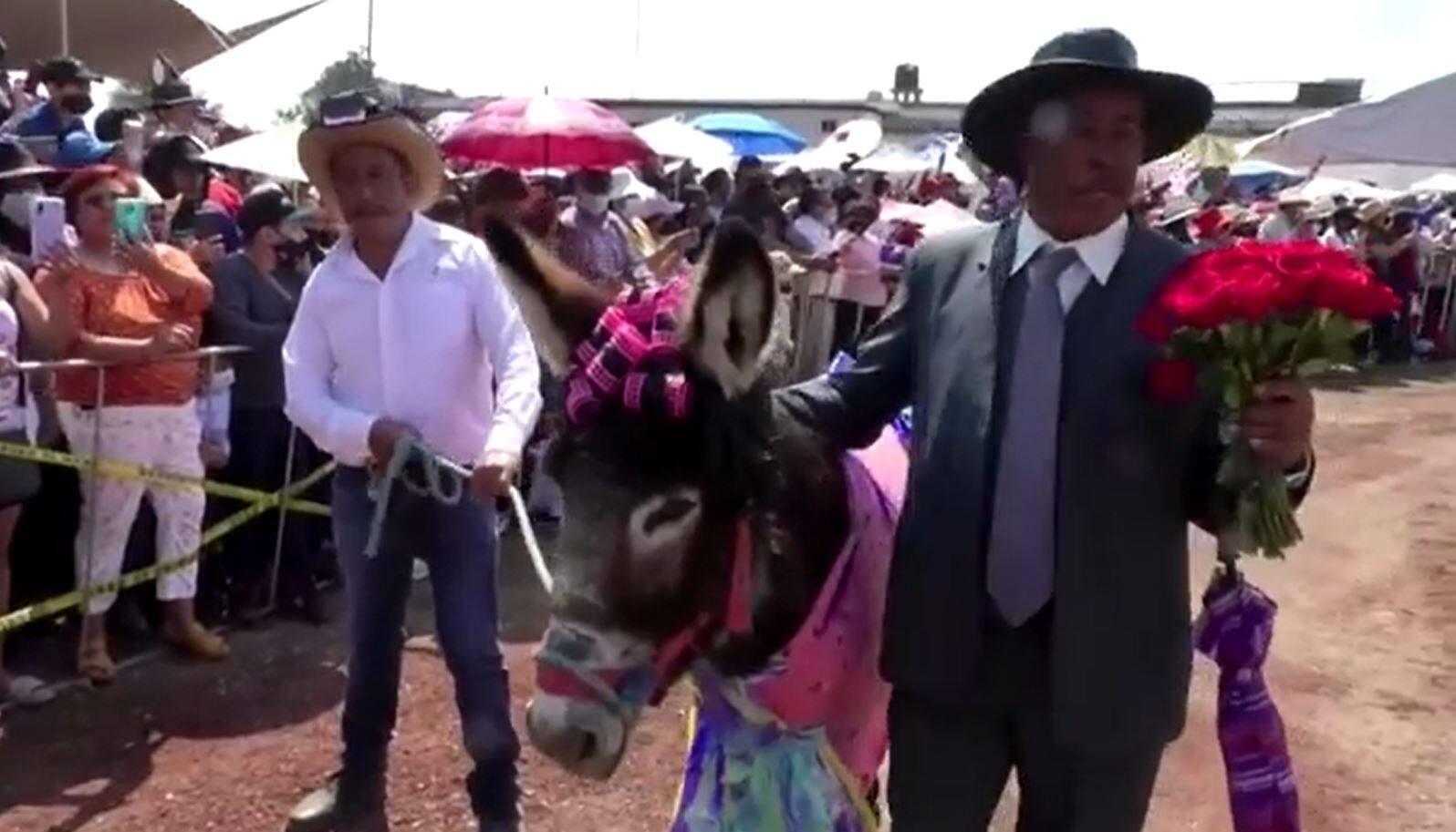 Les &acirc;nes c&eacute;l&eacute;br&eacute;s durant la f&ecirc;te des Travailleurs