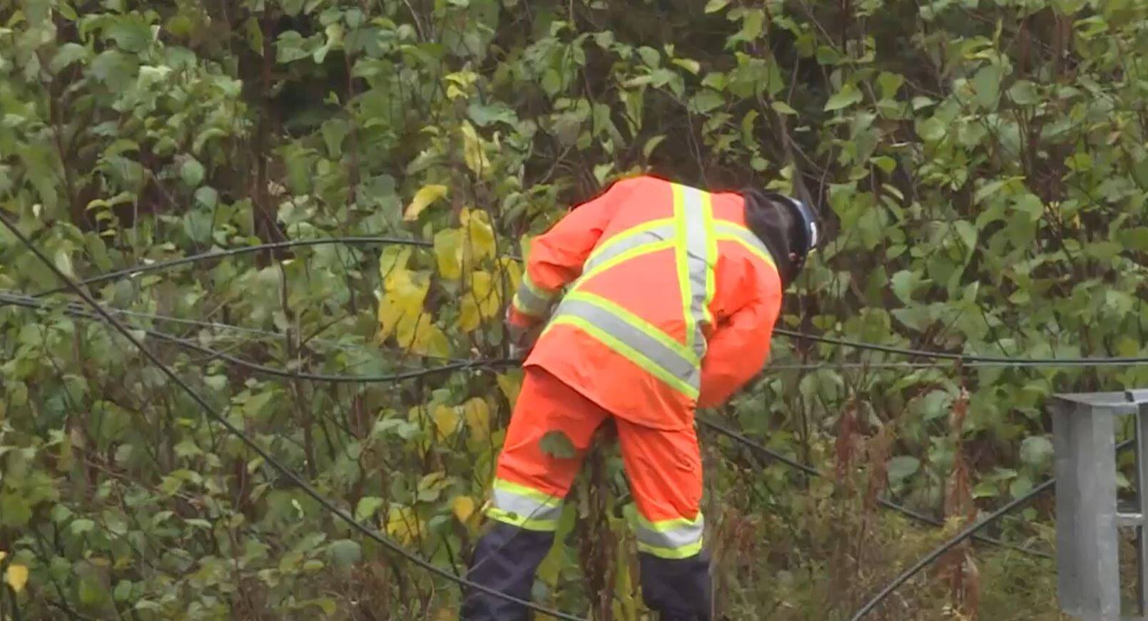 Fibre optique: le projet de c&acirc;ble sous-marin est report&eacute;