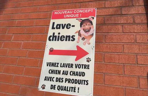 Apr&egrave;s le lave-auto, le lave-chiens