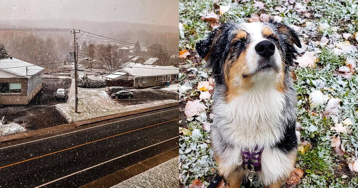 Voyez des photos du Québec sous la neige d’octobre