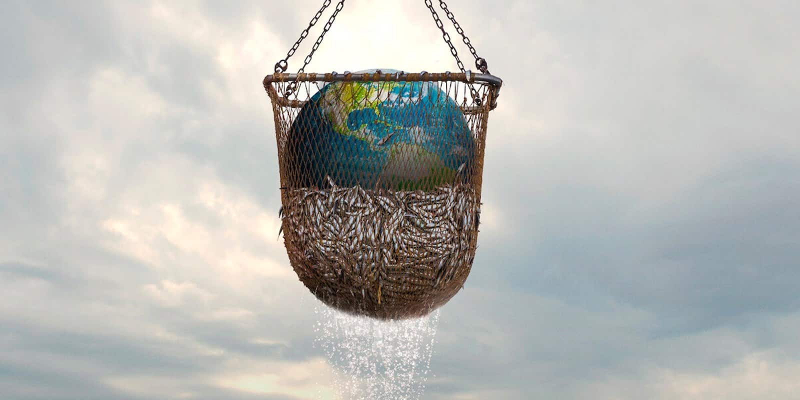 6 documentaires à voir si tu as aimé Seaspiracy 