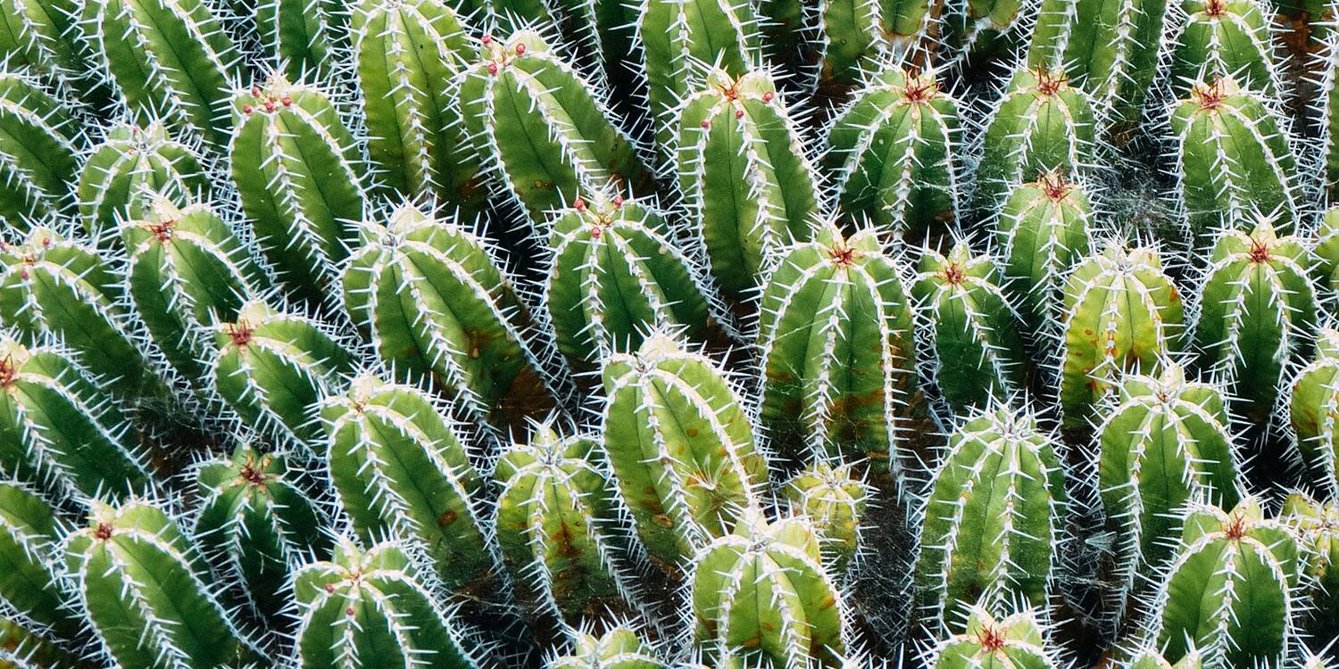 Comment lutter contre la sécheresse vaginale