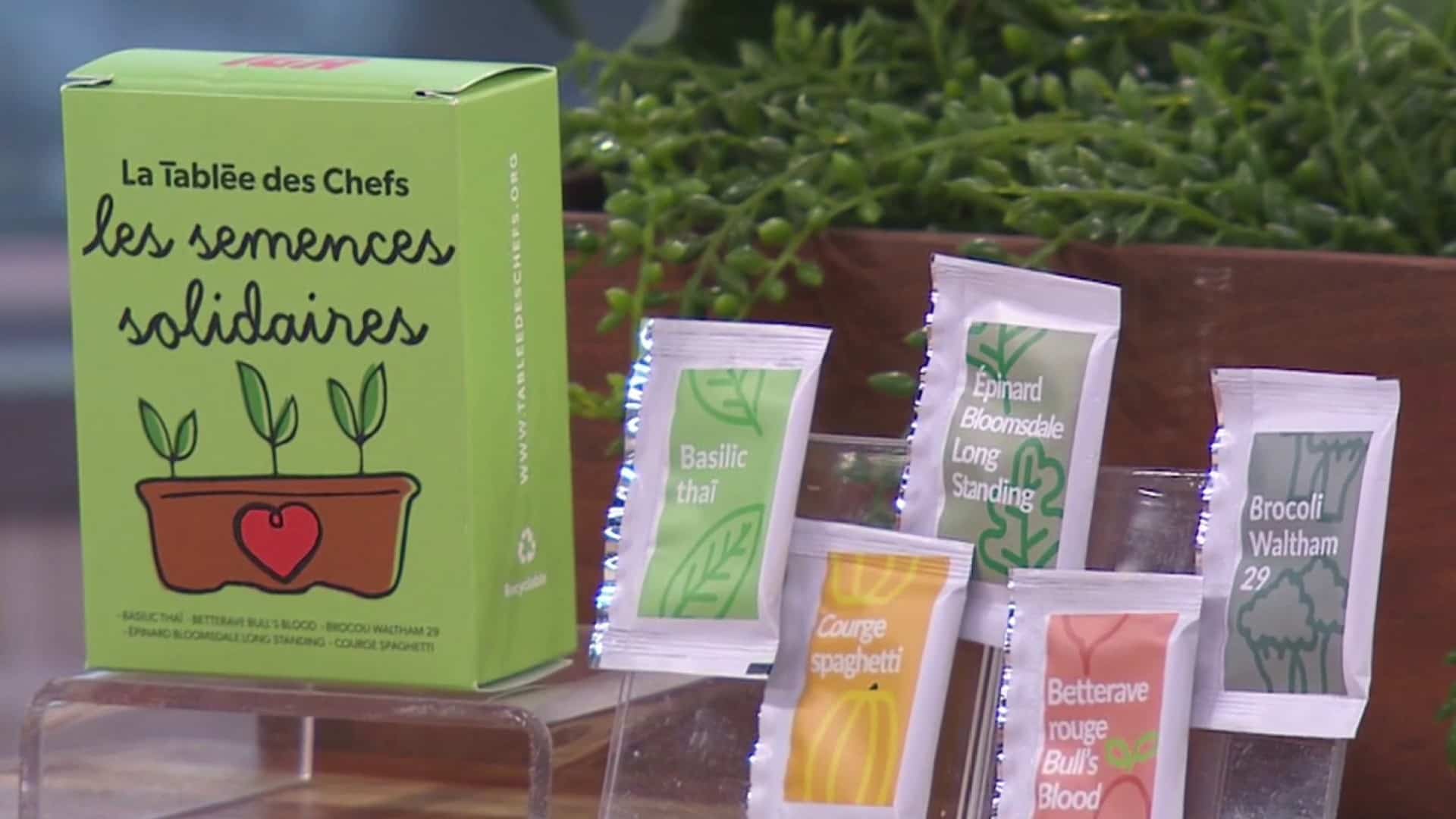 Les Semences solidaires de retour chez IGA