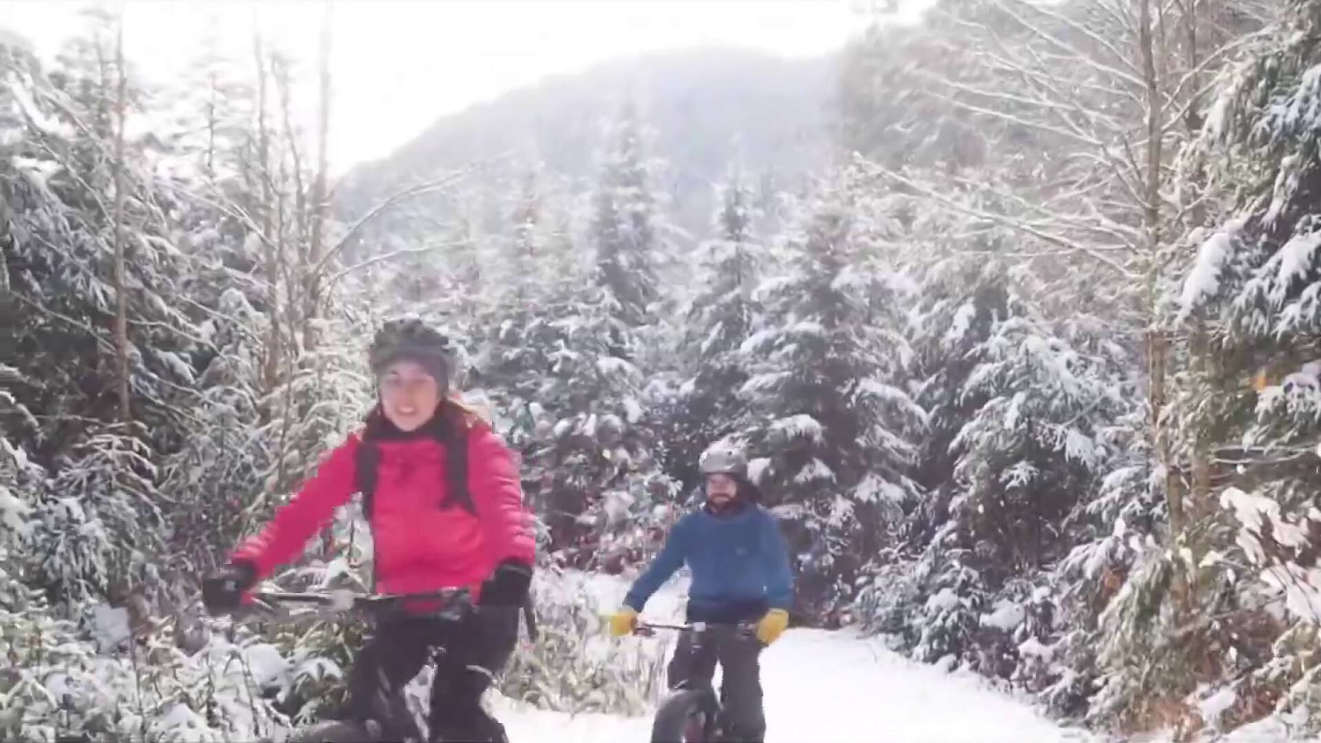 Parcs nationaux du Québec gratuits pour 24 jours