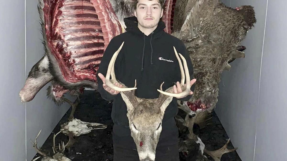 Marché noir de viande sauvage à Kahnawake