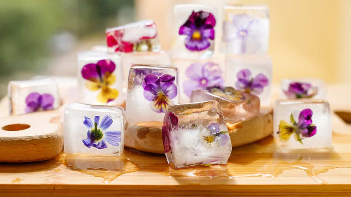 «Mais c’est de la sorcellerie!»: remplissez-vous vos glaçons de la mauvaise façon?