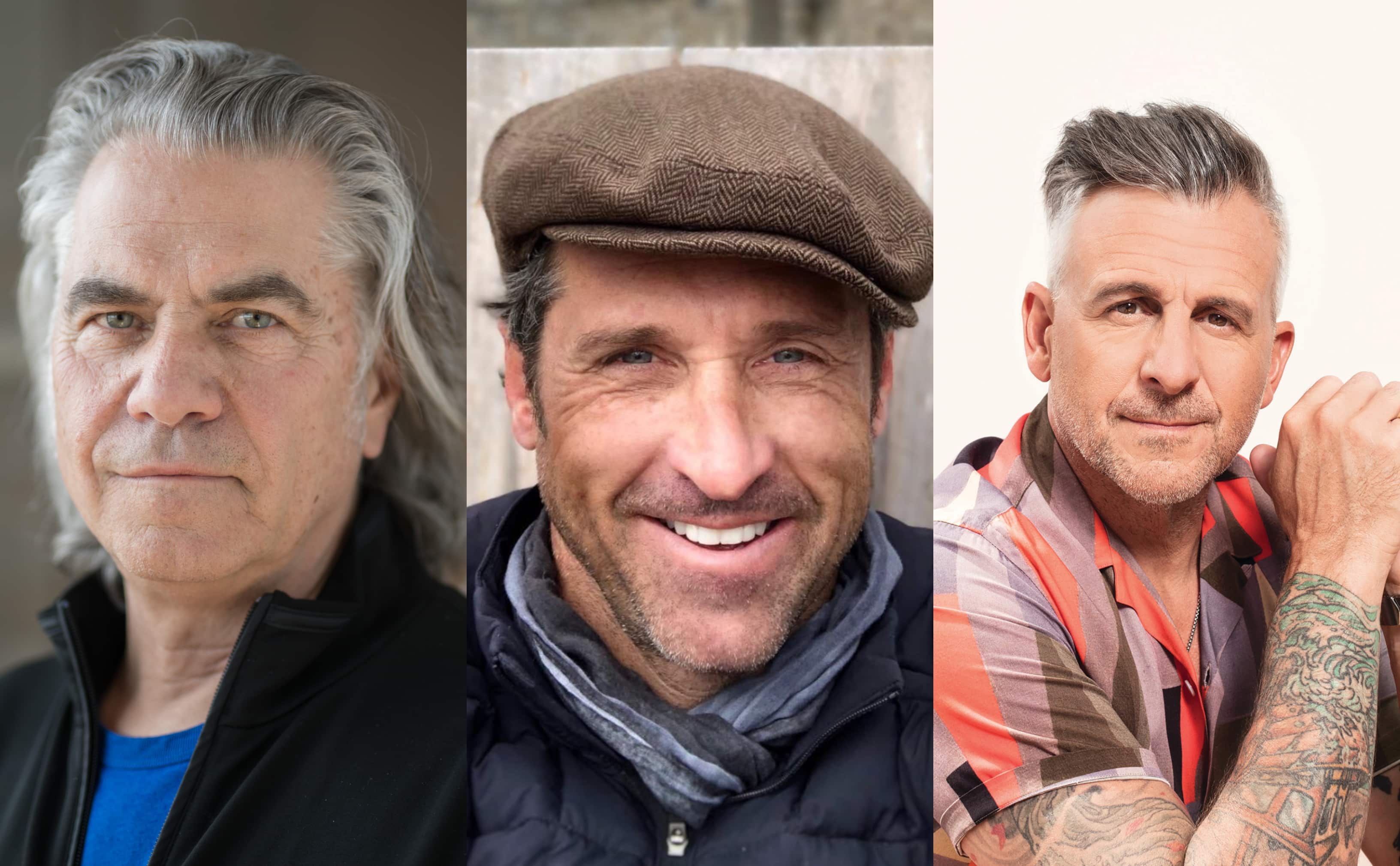 38 vedettes sexy aux cheveux gris