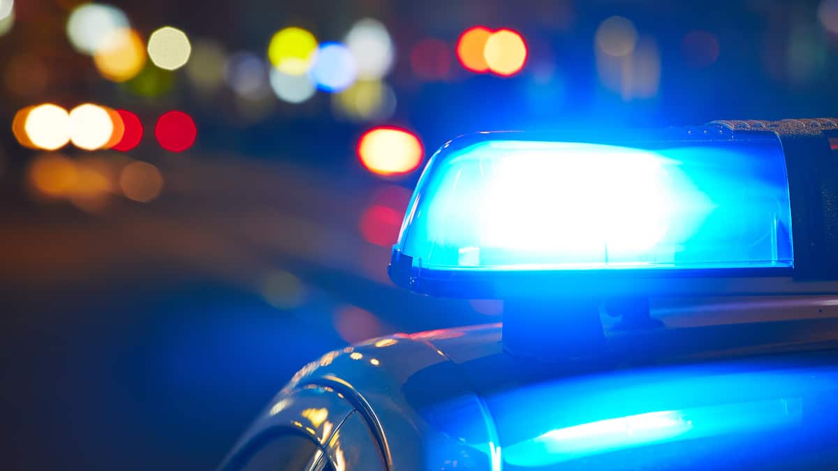 An elaborate scam: She hides a man's death in order to steal his property An elaborate scam: She hides a man's death in order to steal his property