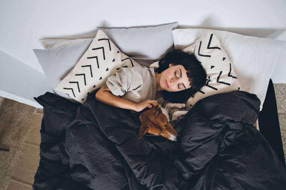 Image principale de l'article Selon des experts, snoozer est mauvais