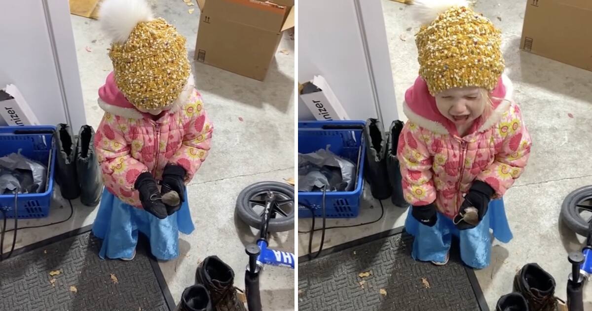Image principale de l'article Deux enfants ramènent une souris morte à la maison