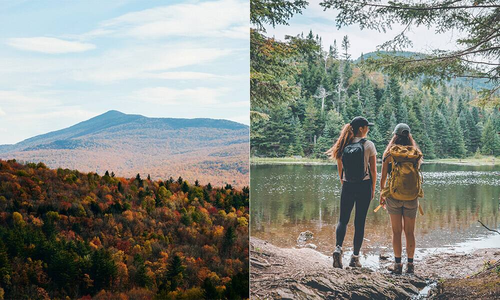 15 choses gratuites ou abordables &agrave; faire &agrave; Sutton