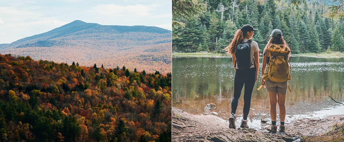 15 choses gratuites ou abordables à faire à Sutton