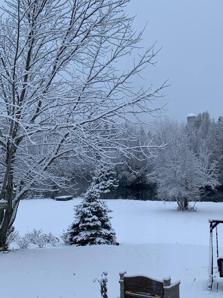 La neige fait son apparition sur plusieurs secteurs