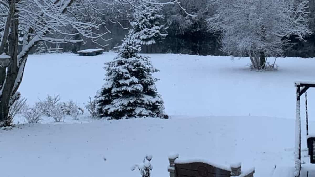 La neige fait son apparition sur plusieurs secteurs