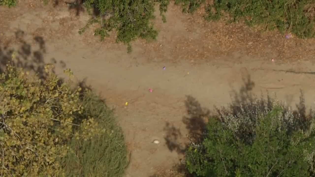 Un crâne humain découvert lors d'une chasse aux œufs de Pâques