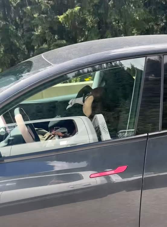 Une femme surprise à dormir au volant d’une Tesla avec ses enfants à l'arrière