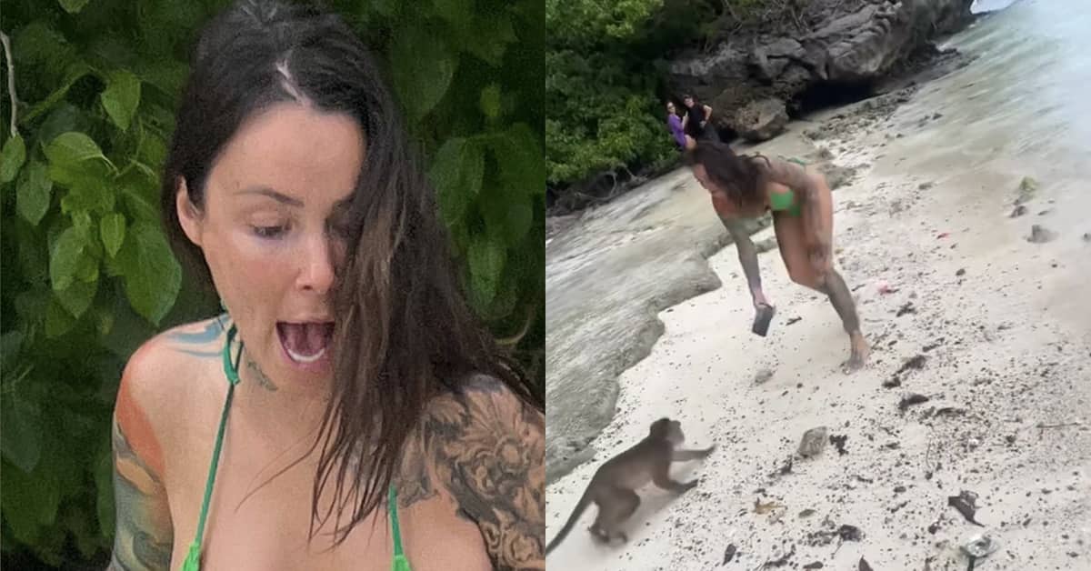 Image principale de l'article Héléne Boudreau se fait mordre par un singe 