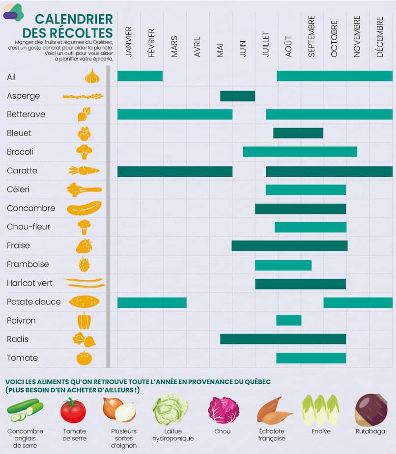 Image principale de l'article Quand peut-on manger des fruits et légumes d'ici?