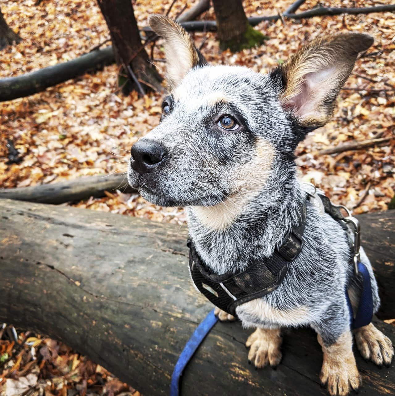 Concours photo «Dans l'œil de votre cellulaire»: voici les ...