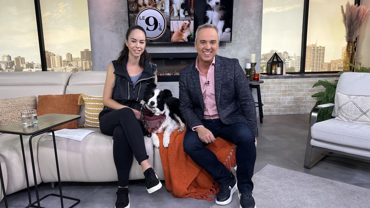 Questions à se poser lorsqu'on adopte un animal