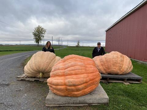 Jim Bryson, his daughter Kelsey and their big pumpkin, have just set the record.