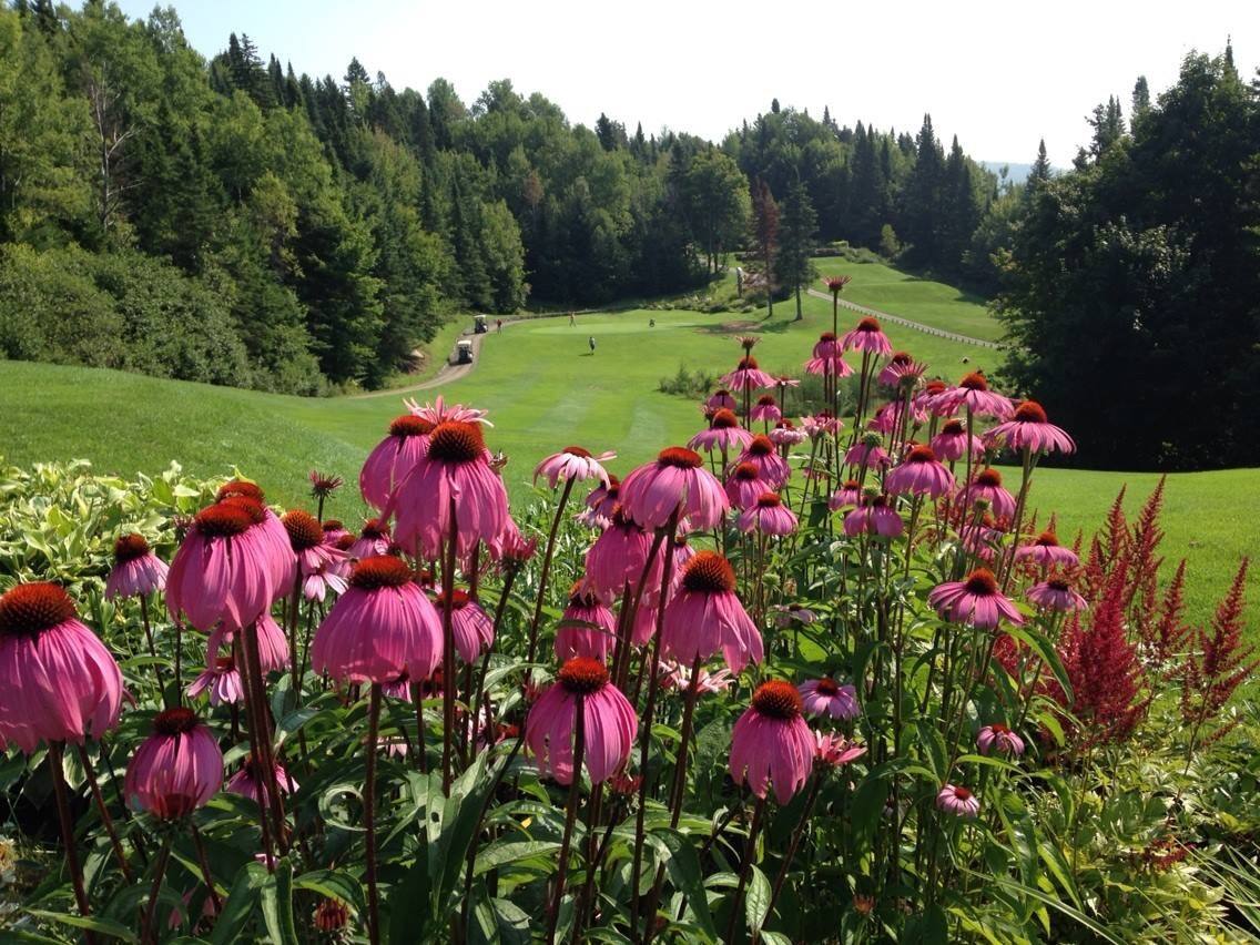Quartiers d'ici SainteBrigittedeLaval, l’attrait des montagnes JDQ