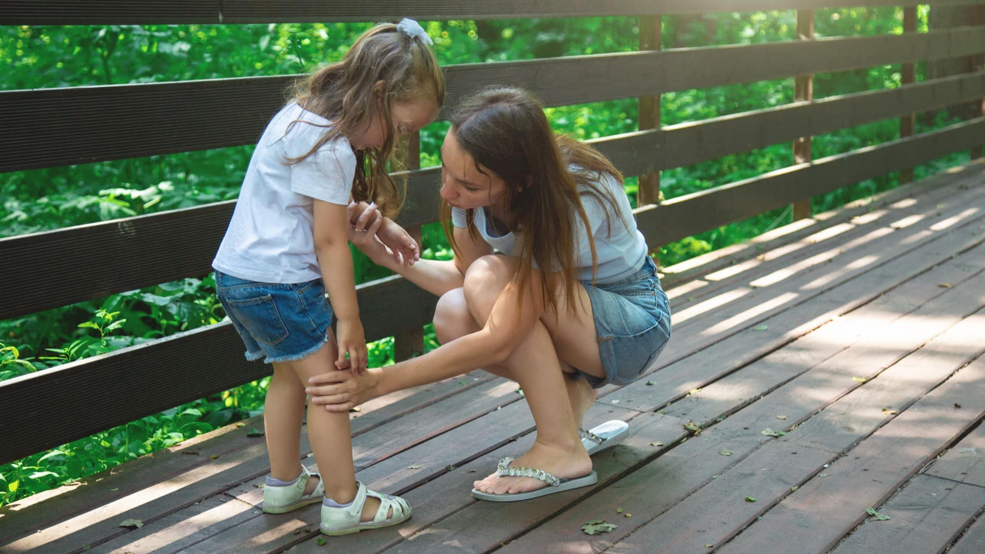Premiers soins en été 
