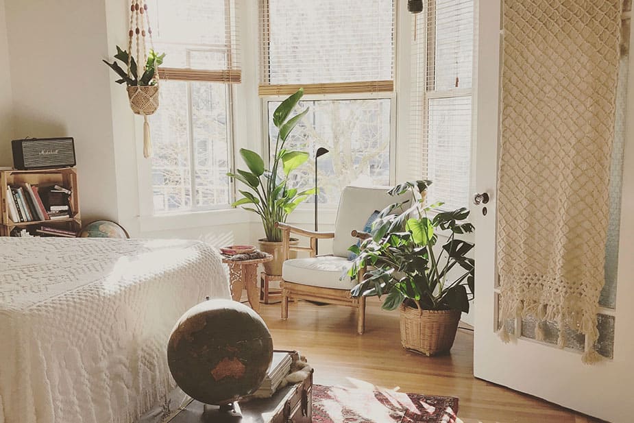 Image principale de l'article 15 façons d'intégrer les plantes dans sa déco