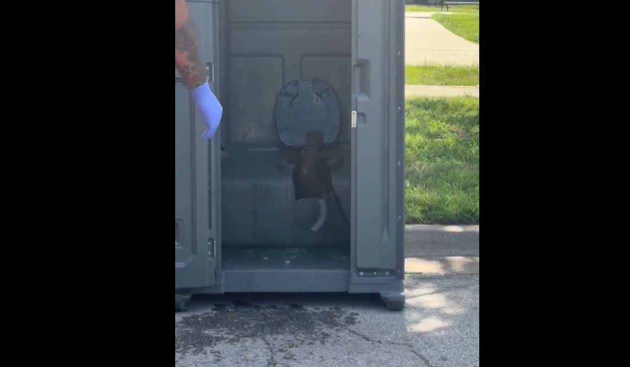 EN VIDÉO | Un homme sauvé par les pompiers après être tombé à l’intérieur d’une toilette chimique