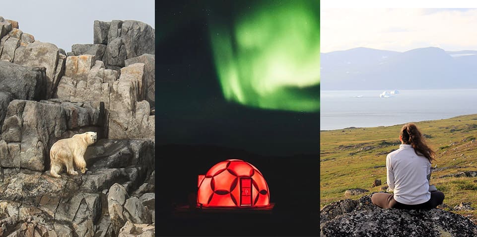  Aventure dans les monts Torngat 