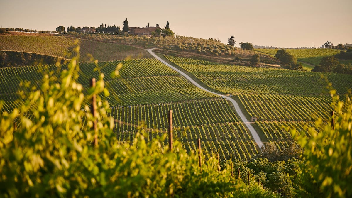 Vignobles: les 11 plus belles destinations du monde pour les amateurs de vins