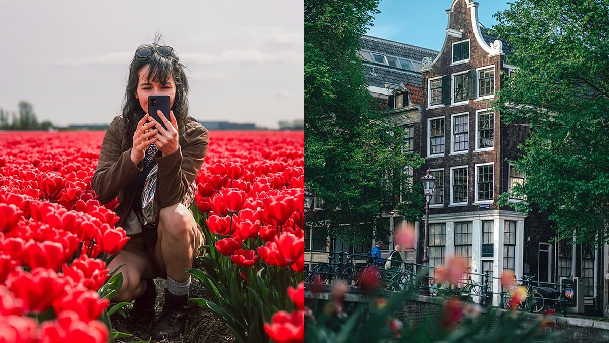 Les plus beaux endroits où profiter de la saison des tulipes aux Pays-Bas