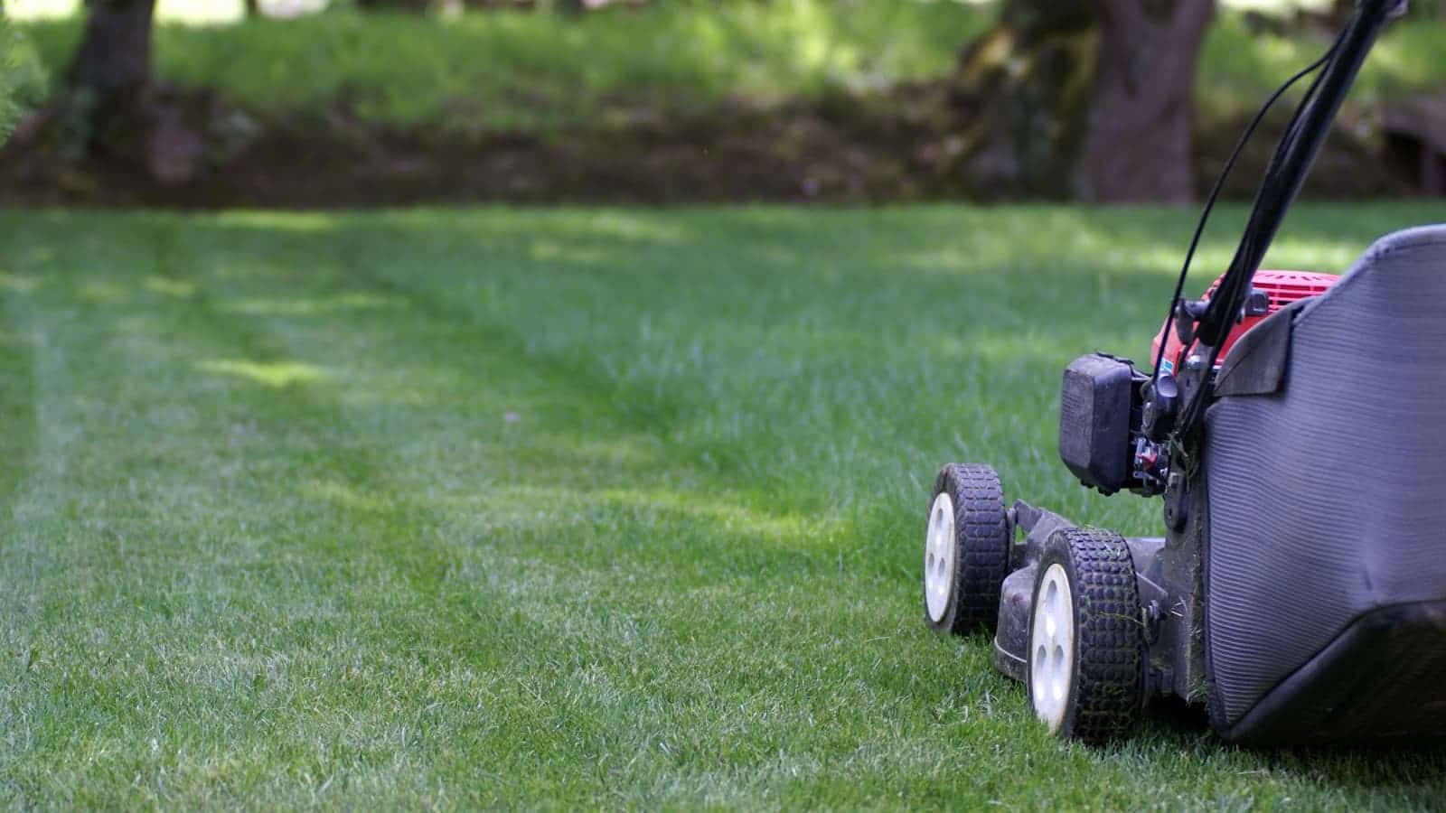 Sortir les billets verts pour faire tondre sa pelouse
