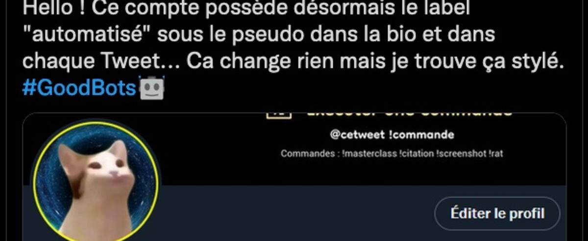 Médias sociaux : Twitter identifiera les «bons robots» sur son réseau