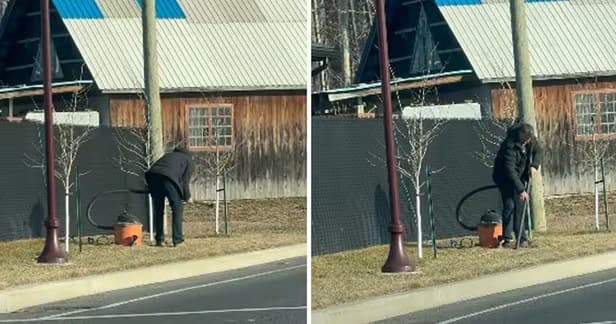 Faut-il vraiment passer l’aspirateur sur sa pelouse au printemps?
