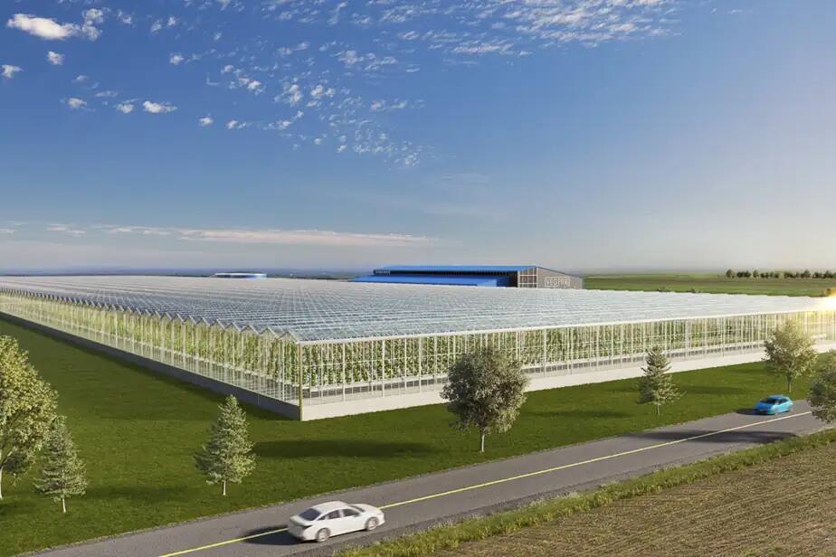 Serres automatis&eacute;es: Qu&eacute;bec pr&ecirc;t &agrave; verser jusqu&rsquo;&agrave; 20 millions $ &agrave; Vegpro
