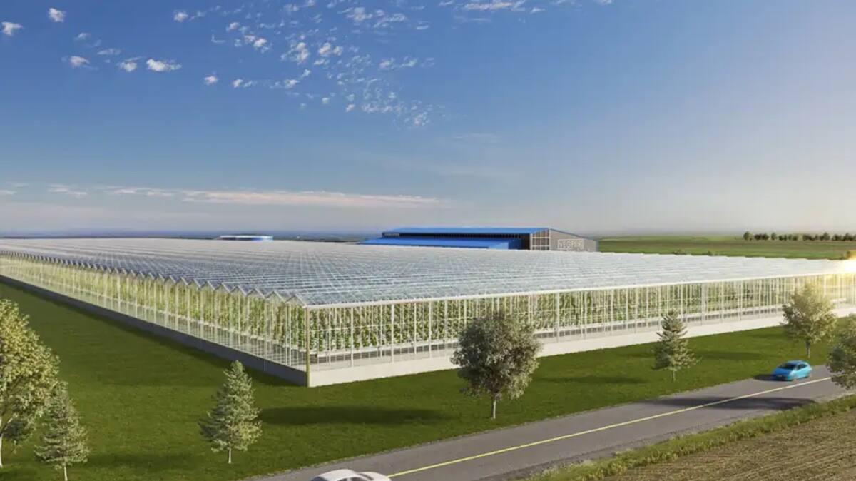Serres automatisées: Québec prêt à verser jusqu’à 20 millions $ à Vegpro