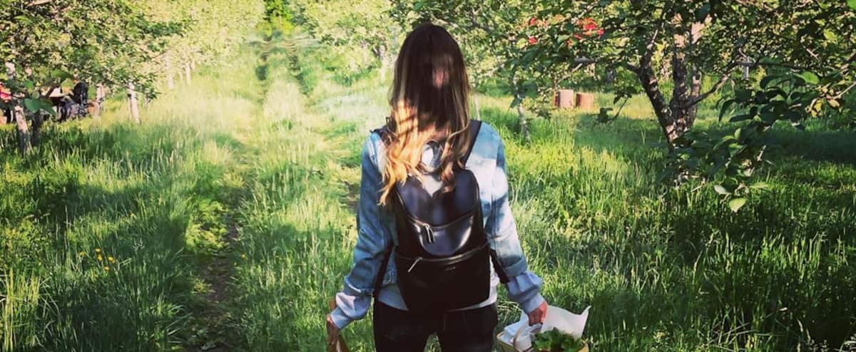 10 Choses A Faire Lors D Un Road Trip Dans Le Coin D Oka Jdm