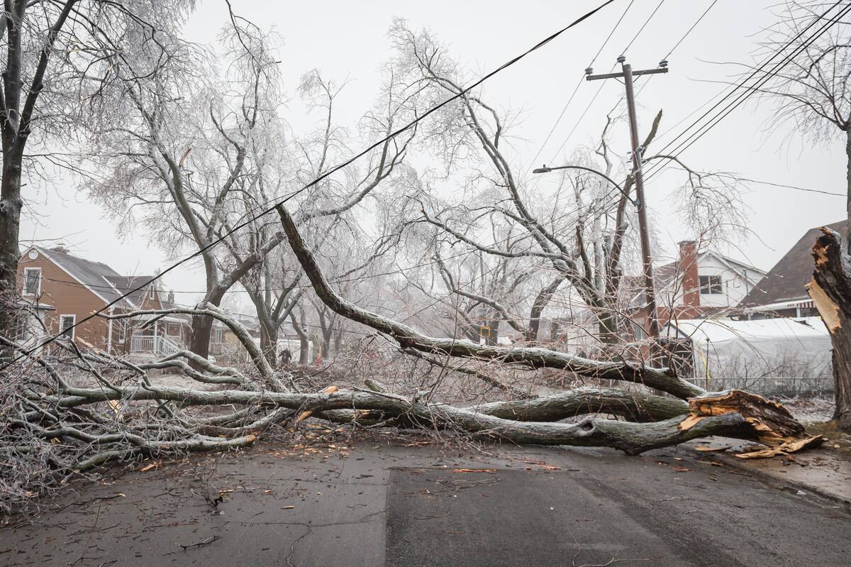 Restez à la maison lors de la tempête de verglas, conseille Transports ...