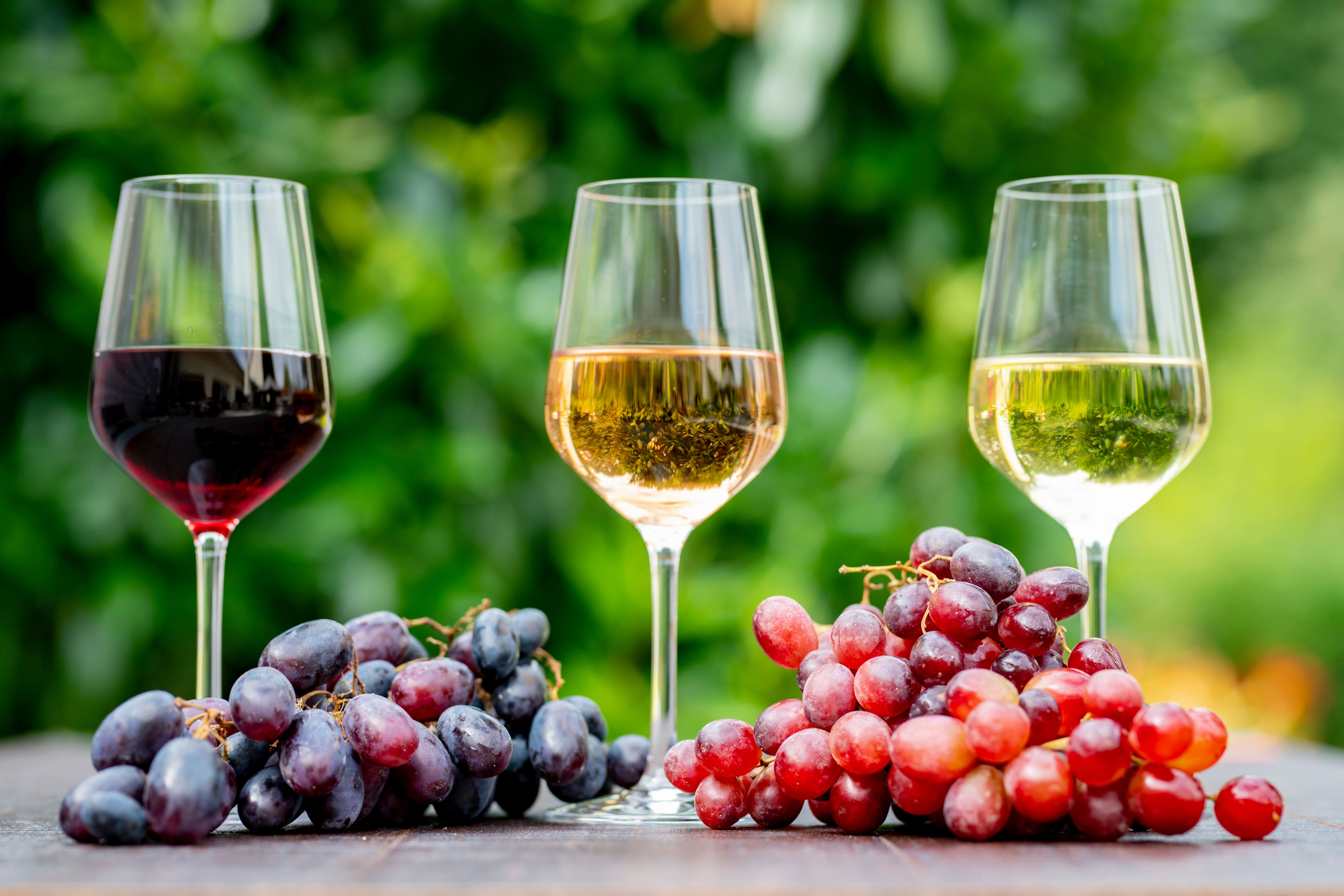 Trois bouteilles bios et sous la barre des 25$ 