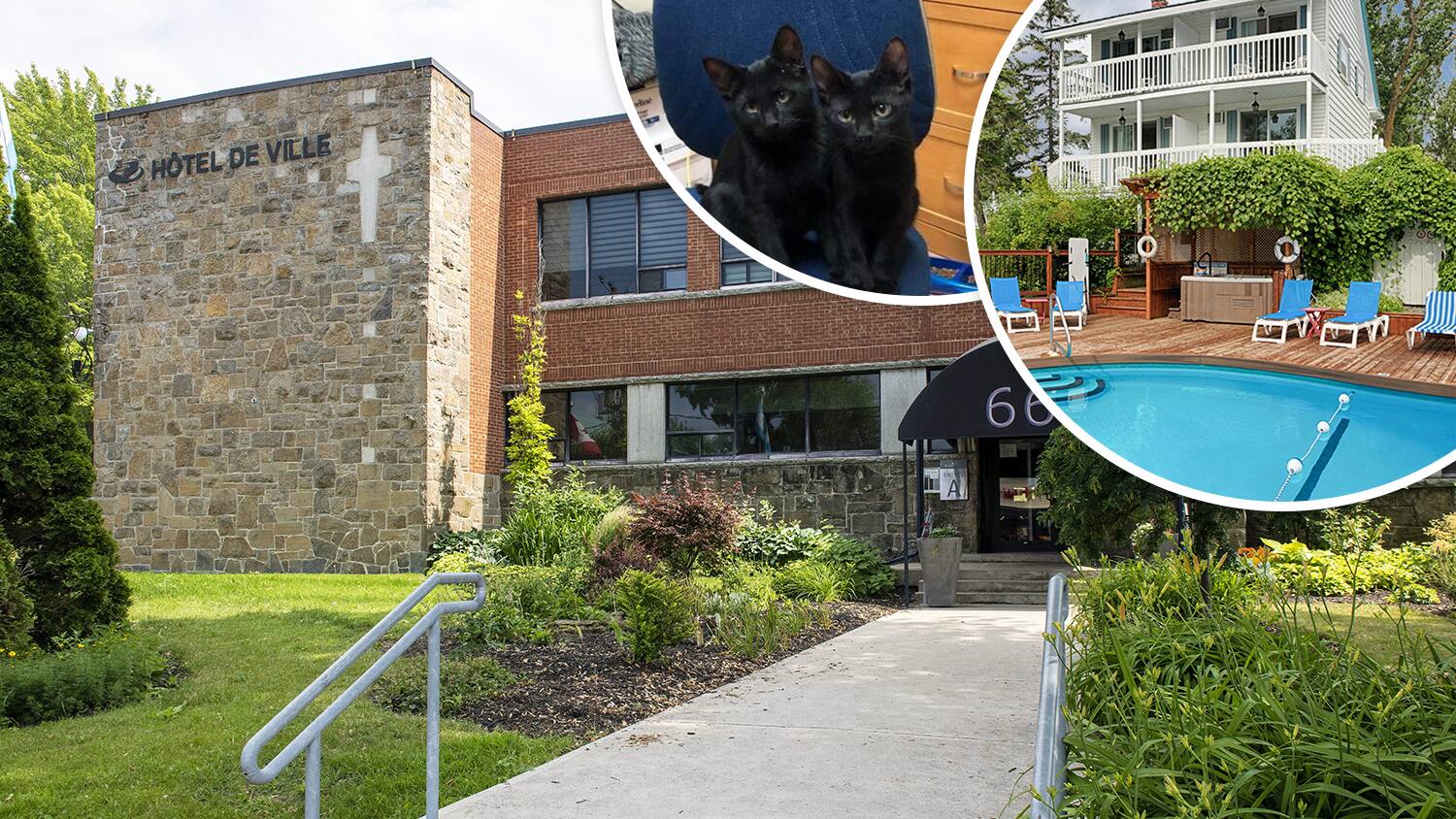 Alcool, vir&eacute;es &agrave; l&rsquo;h&ocirc;tel, homards et m&ecirc;me des chats aux frais des contribuables de Beauharnois