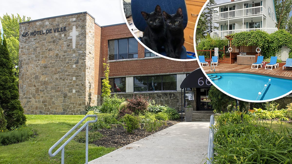 Alcool, virées à l’hôtel, homards et même des chats aux frais des contribuables de Beauharnois